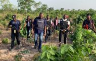 Mass grave of kidnap victims discovered in Benue