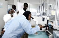 Coronavirus spreads to two more African countries