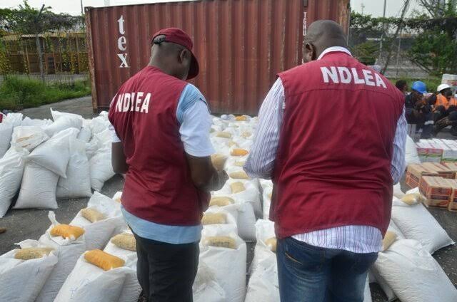 NDLEA warns against illicit use of psychotropic
