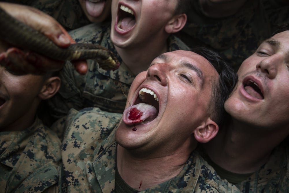 Hard training! Wild photos show US Marines munching on scorpions, washing them down with snake blood as they learn to survive in the jungle