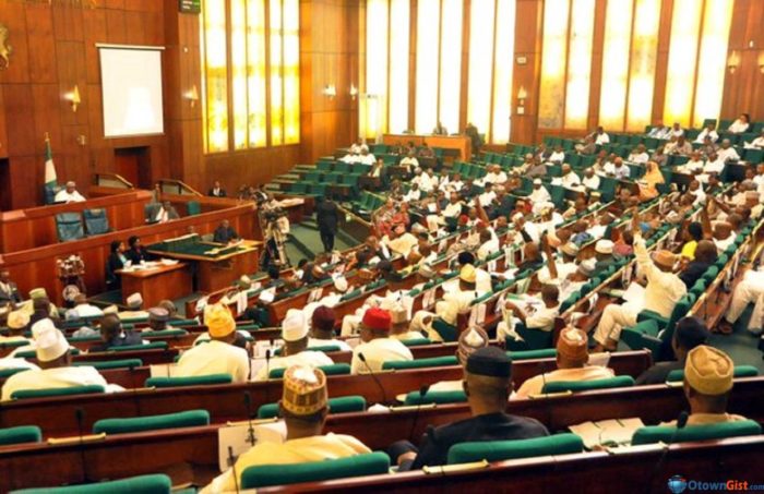 Reps seek review of Nigeria’s foreign policy to address racism