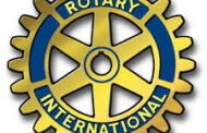 Climate change: Rotary Club plant trees in Abuja