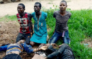 Vigilante group ambushes suspected kidnappers, kills three in Yobe