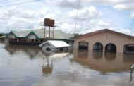 Zamfara: Flood destroys over 100 houses in Gumi LGA