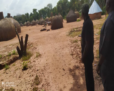 Fulani herdsmen convert multi-billion naira Enugu farm into settlement