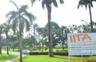 40,000 young people in  Nigeria to benefit from Young Africa Works-IITA project training programme