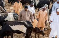 Katsina: Anger trails Buhari’s visit to Daura cows instead of Kankara school