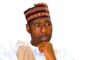 Why power should shift to South in 2023: Gov. Zulum