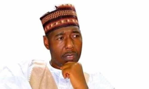 Why power should shift to South in 2023: Gov. Zulum