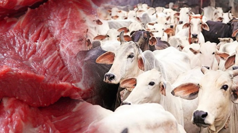 Afenifere, Gani Adams, Igboho lead campaign against cows, beef consumption