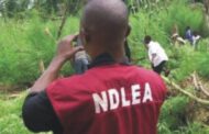 NDLEA recovers cocaine, heroin from monarch’s palace