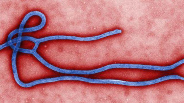 Ebola: Liability of government agencies 