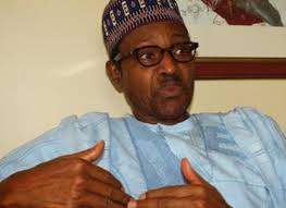 Buhari picks APC presidential form