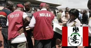 NDLEA Arrests 14 Suspects For Drug Trafficking In Lagos