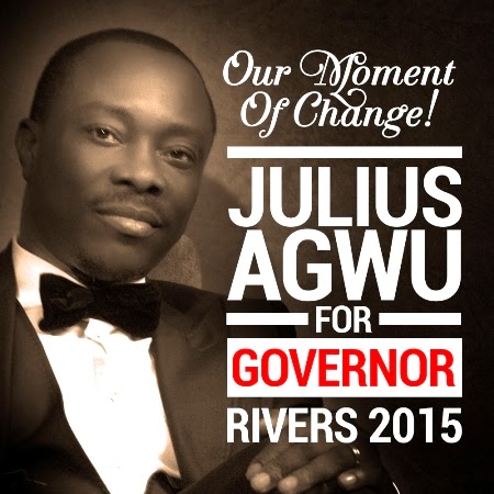 Julius Agwu Step-Down From 2015 Governorship Race!