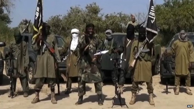 Cameroon begins air strike against Boko Haram 