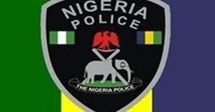 NGO asks FG to provide body cameras for police during elections
