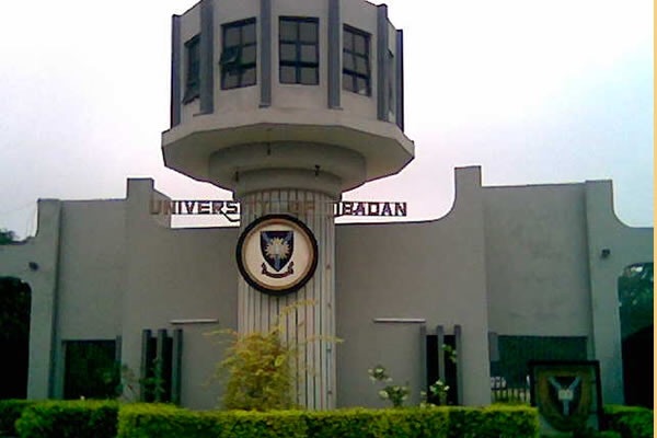 12 professors jostle for the post of VC at University of Ibadan