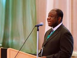 Buhari not responsible for present increase in power supply:  Nebo