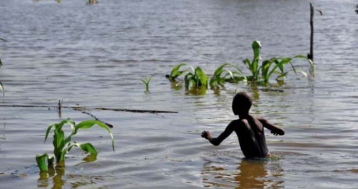 Flood: Sokoto to engage in dry season farming to fight food shortage