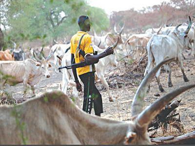 Fulani herdsmen kill 22 in  Kogi