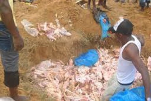 Customs Marine Command destroys 350 cartons of poultry products