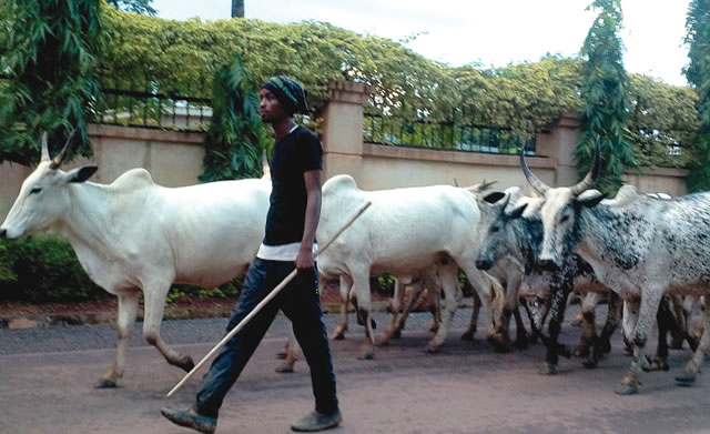 Troops  apprehend 92 armed Fulani herdsmen in Abuja