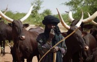 Fulani herdsmen are jihadists: Christian elders