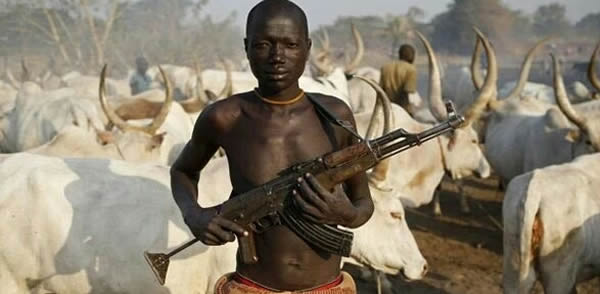 Nobody can stop us from grazing in any part of the country: Fulani herdsmen