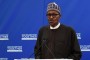 Buhari appoints Ben Akabueze as DG, Budget Office