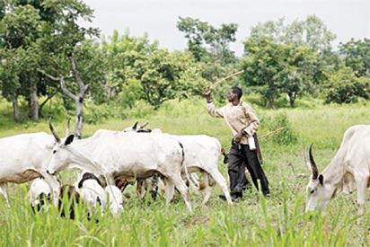 We’ll not surrender to Fulani herdsmen : Gov Ortom