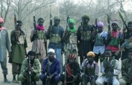 500 communities in Shiroro are under the control of Boko Haram: LG Chairman