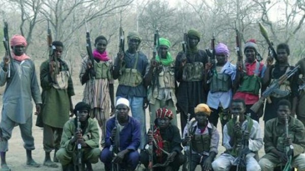 500 communities in Shiroro are under the control of Boko Haram: LG Chairman