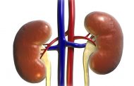 Adamawa doctor accused of harvesting patient’s kidney