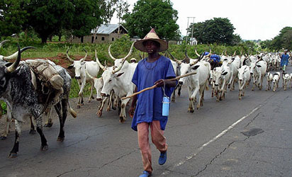 Fulani herdsmen invade Enugu community, kill two; raze down houses
