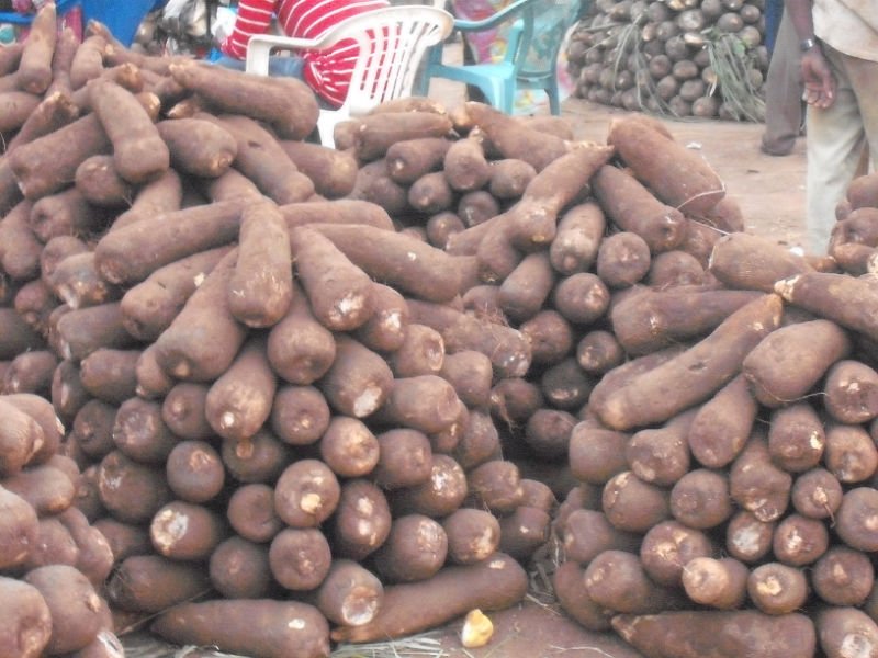 How negative reports affect Nigeria’s yams export: exporters