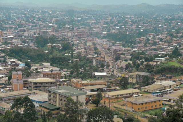 Cameroon: Restive anglophone regions in shutdown protest at separatist leader's jailing