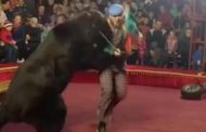Russian circus bear mauls trainer as shrieking spectators flee