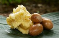 Nigerian farmers hope to tap from $3.5 billion  shea butter market