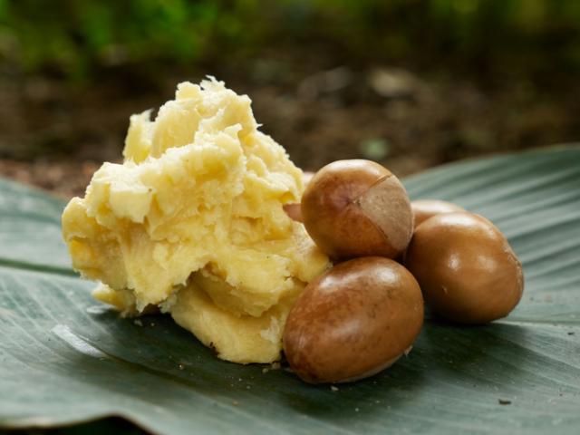 Nigerian farmers hope to tap from $3.5 billion  shea butter market