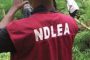 Police confirm killing of 17-year-old boy by Kaduna vigilance group