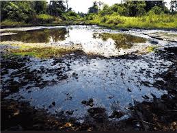 ​Ogoni cleanup: Lockdown, land tussle responsible for delay: D-G NOSDRA