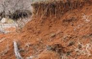 Soil degradation: Institute rolls out 5-year action plan to tackle challenges