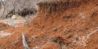Soil degradation: Institute rolls out 5-year action plan to tackle challenges