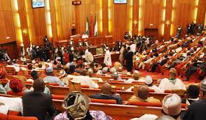 Senate passes bills for City University of Tech Auchi, Edo, others