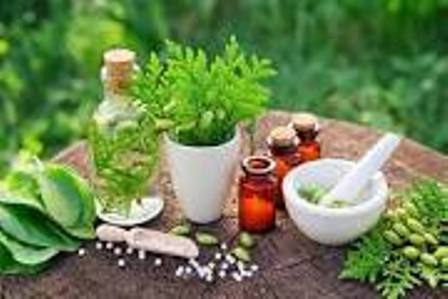 NAFDAC considers 21 herbal products for usage