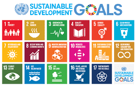 Nigeria presents voluntary national review report on SDGs to UN