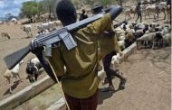 How I was gang-raped by herdsmen, offered blood to drink as water: Kidnap victim