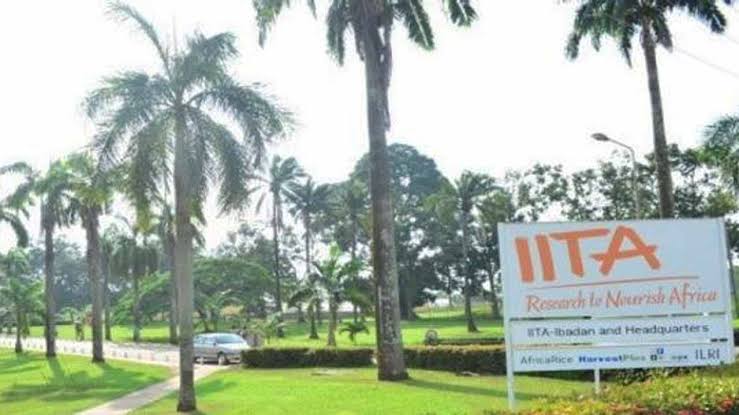 40,000 young people in  Nigeria to benefit from Young Africa Works-IITA project training programme