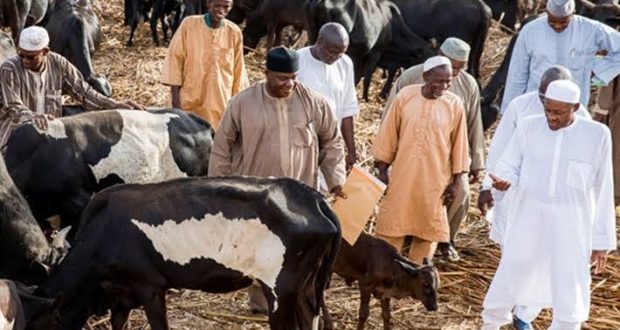 Katsina: Anger trails Buhari’s visit to Daura cows instead of Kankara school